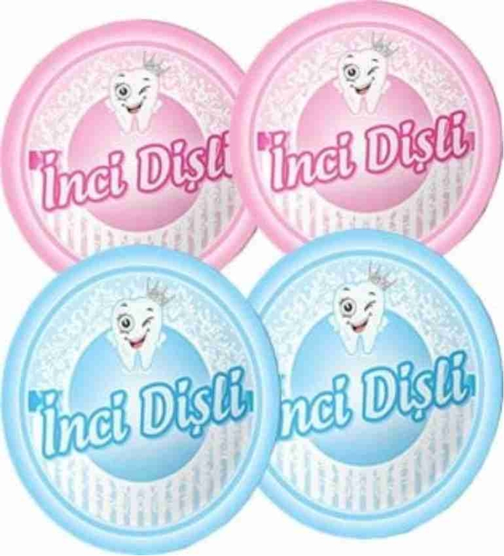 Diş Partisi