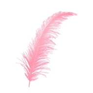 Şeffaf Balon İçi Tüy Pembe (100 adet)