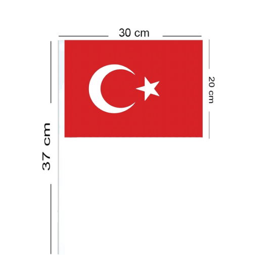 Ay Yıldızlı Bayrak Çıtalı 37 cm (10 Adet)