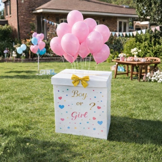 Cinsiyet Partisi Kutusu Uçan Balon