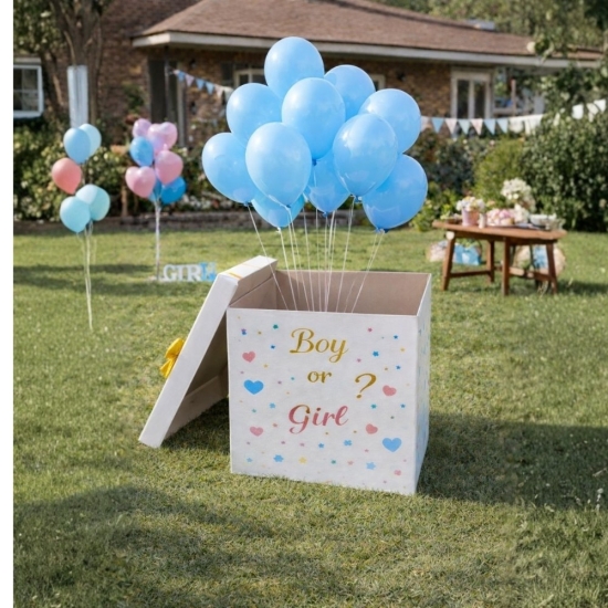 Cinsiyet Partisi Kutusu Uçan Balon